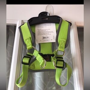 Coastal size M Neon Green Dog Harness